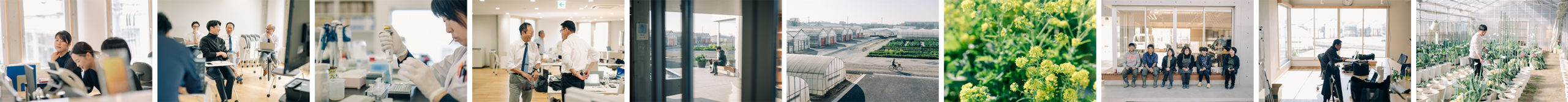 トキタ種苗株式会社