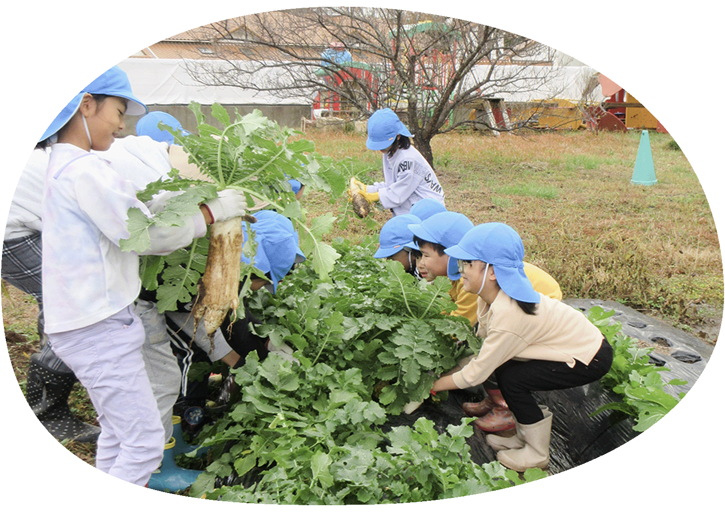 食育活動